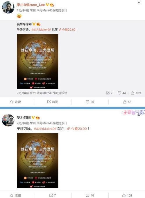 爆料视频集锦下载,热点事件背后的真相与思考  第1张